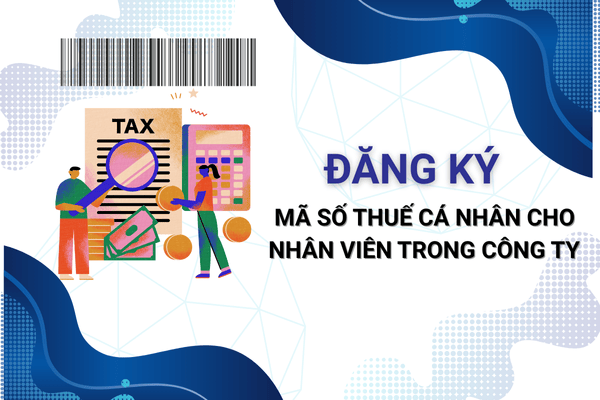 Quy trình đăng ký mã số thuế cá nhân cho nhân viên trong công ty