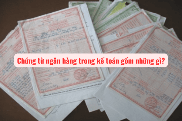 Chứng từ ngân hàng trong kế toán gồm những gì?